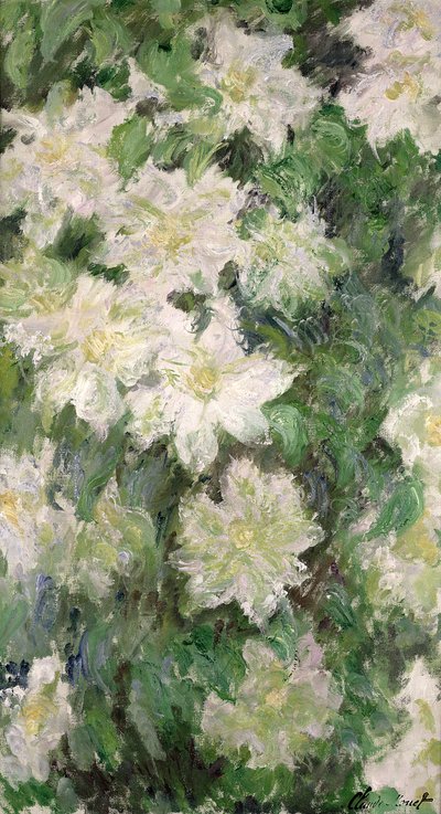 Weiße Clematis, 1887 von Claude Monet